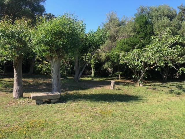 Civico34 House 3 - I Giardini Dell'Ancora Villa Стинтино Екстериор снимка